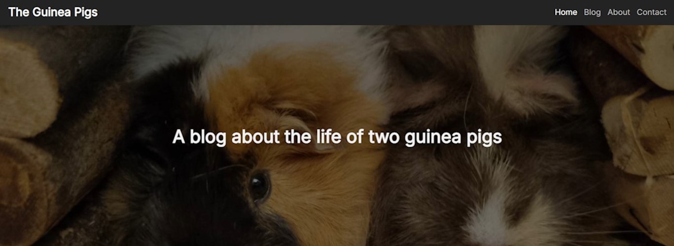 Forsiden til The Guinea Pigs nettsiden.